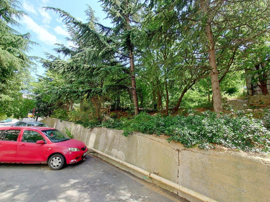 Продам землю для коммерческого использования 20 соток, Садоводство, Октябрьская ул, 31, Алушта г