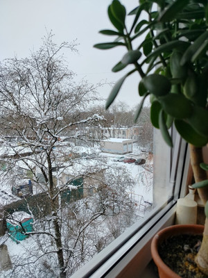 Продам двухкомнатную (2-комн.) квартиру, Химиков ул, 15, Великий Новгород г