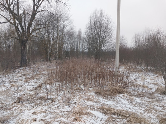 Продам участок 15,14 соток, ИЖС, Тишинка д, 0 км от города