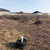 Продам участок 8 соток, ИЖС, 2 мкр, Кропоткин г, 0 км от города
