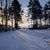 Продам трехкомнатную (3-комн.) квартиру, Приморское ш, 423к2, Репино п