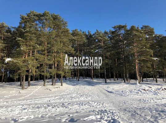 Продам трехкомнатную (3-комн.) квартиру, Приморское ш, 423к2, Репино п
