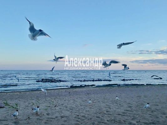 Продам трехкомнатную (3-комн.) квартиру, Приморское ш, 423к2, Репино п