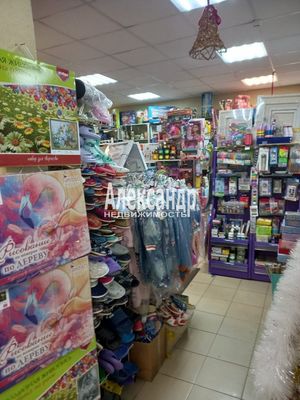 Продам торговое помещение 188,5 м2, Иоанна Кронштадтского ул, 5, Старая д
