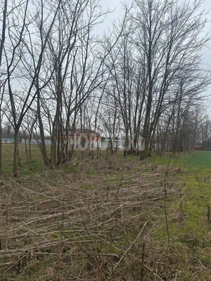 Продам участок 25 соток, ИЖС, Южная ул, 6, Петропавловская ст-ца, 0 км от города