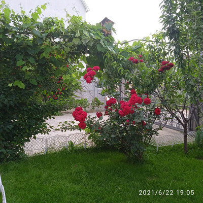 Продам дом, 2 ул, Ветеран тер. СНТ, 0 км от города