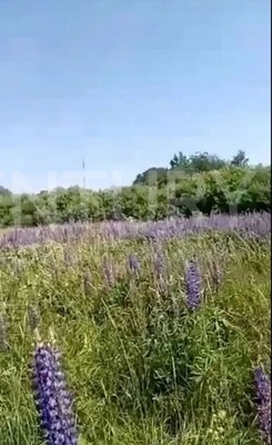 Продам участок 8 соток, ИЖС, Донская ул, Пионерский г, 3 км от города
