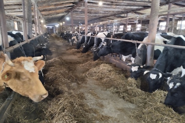 Продам землю для коммерческого использования 35 000 соток, ЛПХ, Восточная ул, 25, Замараевское д