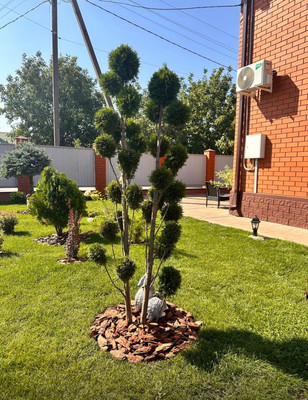 Продам дом, Цыганкова пер, Волгодонск г, 0 км от города