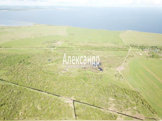 Продам участок 5 000 соток, Фермерское хоз., Коростынь д, 60 км от города