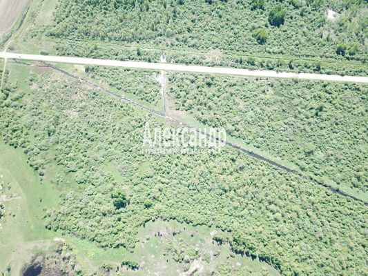 Продам участок 5 000 соток, Фермерское хоз., Коростынь д, 60 км от города