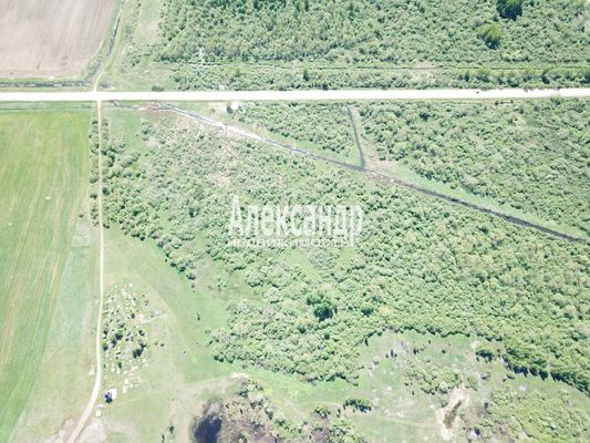 Продам участок 764 соток, Фермерское хоз., Коростынь д, 5 км от города