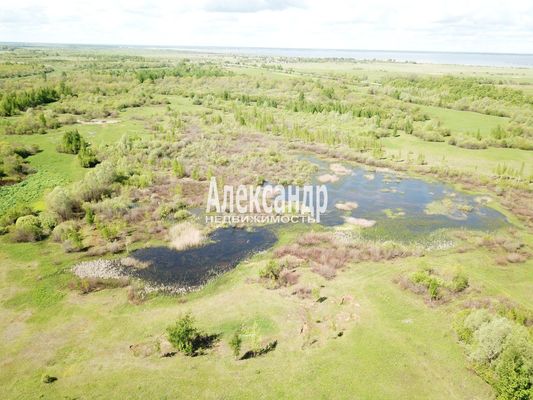 Продам участок 1 000 соток, Фермерское хоз., Коростынь д, 5 км от города