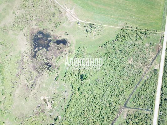 Продам участок 1 000 соток, Фермерское хоз., Коростынь д, 5 км от города