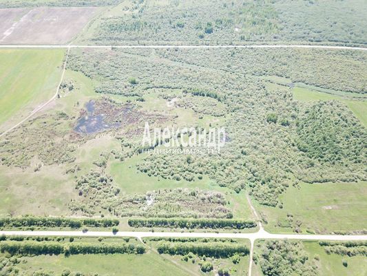 Продам участок 1 000 соток, Фермерское хоз., Коростынь д, 5 км от города