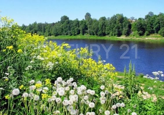 Продам участок 10 778 соток, ЛПХ, Молодежная ул, Зеленый Гай п, 20 км от города