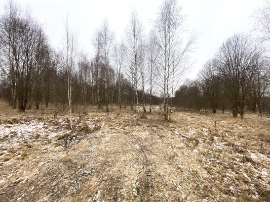 Продам участок 20 соток, Садоводство, Марьина роща тер. ДНП, 11, Раменское г, 0 км от города