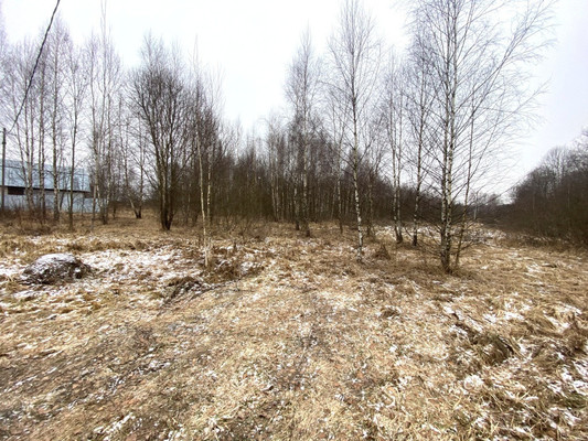 Продам участок 20 соток, Садоводство, Марьина роща тер. ДНП, 11, Раменское г, 0 км от города