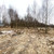 Продам участок 20 соток, Садоводство, Марьина роща тер. ДНП, 11, Раменское г, 0 км от города