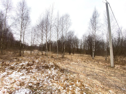 Продам участок 20 соток, Садоводство, Марьина роща тер. ДНП, 11, Раменское г, 0 км от города