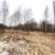 Продам участок 20 соток, Садоводство, Марьина роща тер. ДНП, 11, Раменское г, 0 км от города