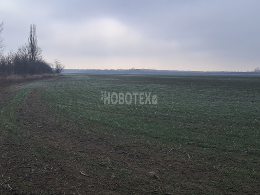 Продам землю для коммерческого использования 3 600 соток, Фермерское хоз., Суздальская ст-ца
