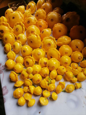 Продам дачу, Новая ул, 2, Бурдаковка д, 0 км от города