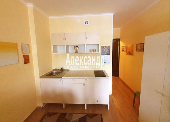 Продам однокомнатную (1-комн.) квартиру, Ветеранов пр-кт, 169к3, Санкт-Петербург г