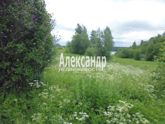 Продам участок 16 соток, ИЖС, Луговая ул, 4, Пидьма д, 300 км от города