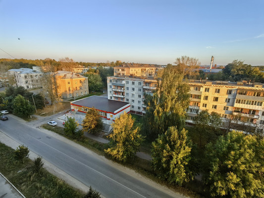 Продам однокомнатную (1-комн.) квартиру, Центральная ул, 33, Пролетарский рп