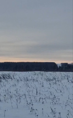 Продам участок 240 соток, Садоводство, Таежная ул, Ширяева д, 0 км от города