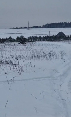 Продам участок 240 соток, Садоводство, Таежная ул, Ширяева д, 0 км от города