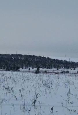 Продам участок 240 соток, Садоводство, Таежная ул, Ширяева д, 0 км от города