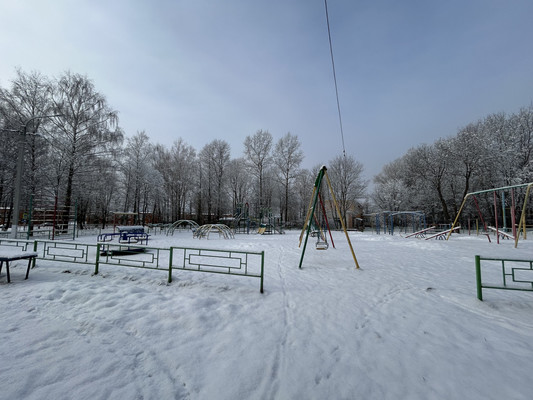 Продам трехкомнатную (3-комн.) квартиру, Центральная ул, 29, Ольявидово д