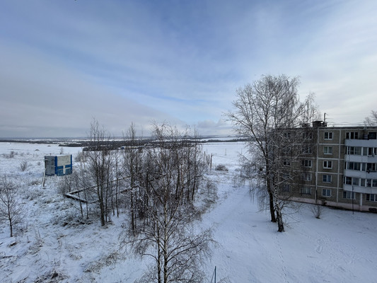 Продам трехкомнатную (3-комн.) квартиру, Центральная ул, 29, Ольявидово д