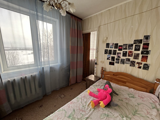 Продам трехкомнатную (3-комн.) квартиру, Центральная ул, 29, Ольявидово д