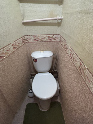 Продам трехкомнатную (3-комн.) квартиру, Центральная ул, 29, Ольявидово д