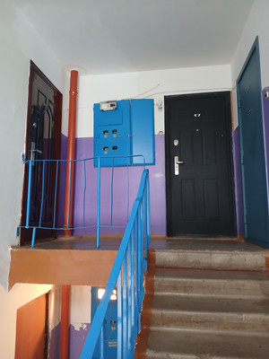 Продам трехкомнатную (3-комн.) квартиру, Садовая ул, 16, Боровка с
