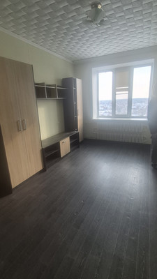 Продам однокомнатную (1-комн.) квартиру, Сельская ул, 2Ф, Воронеж г
