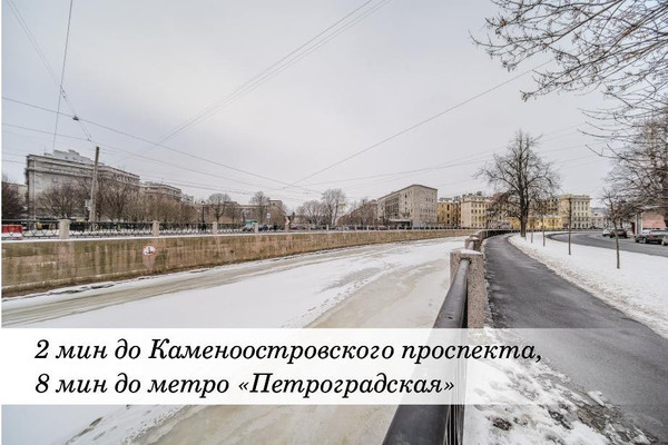 Продам коммерческое помещение 445,8 м2, Реки Карповки наб, 23, Санкт-Петербург г