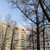 Продам однокомнатную (1-комн.) квартиру, Якорная ул, 1Ак2, Санкт-Петербург г