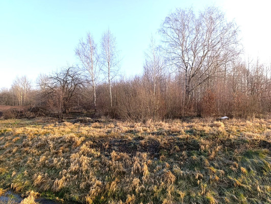 Продам участок 4 соток, ИЖС, Мира ул, Большое Исаково п, 0 км от города