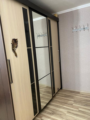 Продам комнату в 3-комн. квартире, Северная ул, 6, Бережки д