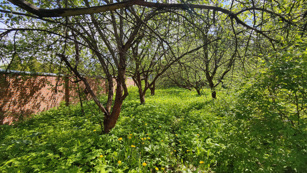 Продам дом, Садовая ул, Лугинино д, 0 км от города