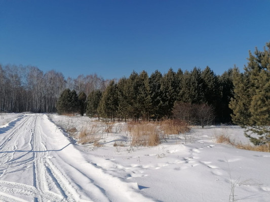 Продам участок 9,91 соток, Садоводство, Иванькова ул, Элита п, 0 км от города