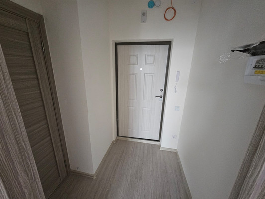 Продам однокомнатную (1-комн.) квартиру, Старорусский пр-кт, 5к1, Шушары п