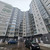 Продам однокомнатную (1-комн.) квартиру, Старорусский пр-кт, 5к1, Шушары п