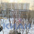 Продам двухкомнатную (2-комн.) квартиру, Мичурина ул, 53, Красноярск г
