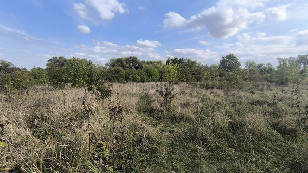 Продам участок 7 соток, ИЖС, Дивизионная ул, 272, Крымск г, 0 км от города