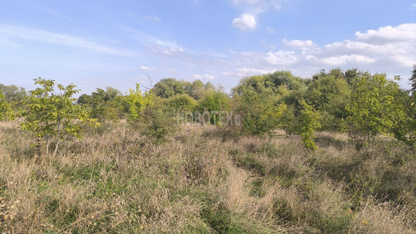 Продам участок 7 соток, ИЖС, Дивизионная ул, 272, Крымск г, 0 км от города